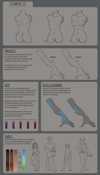 Lumocli species sheet with body info. Lumocli species sheet with body info.