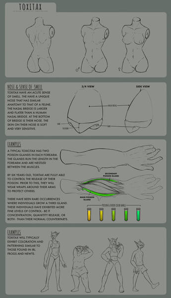 Toxitaxspecies sheet with body info.